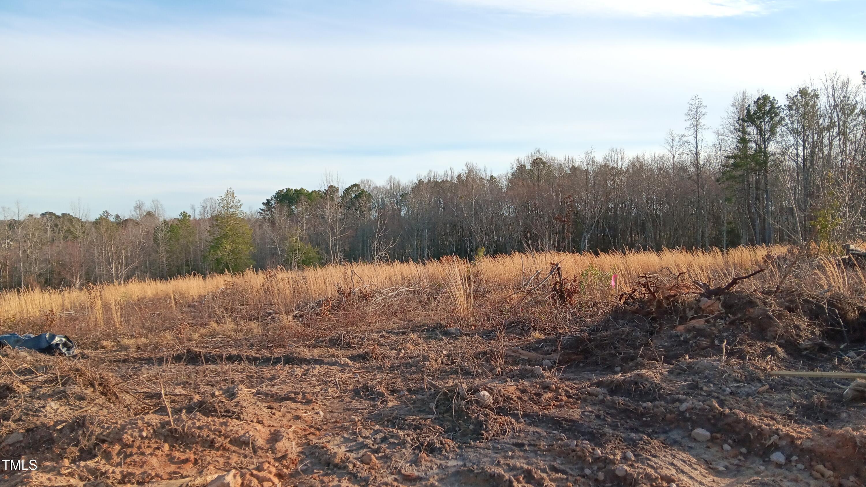 0 Cypress Creek Drive Property Photo 18