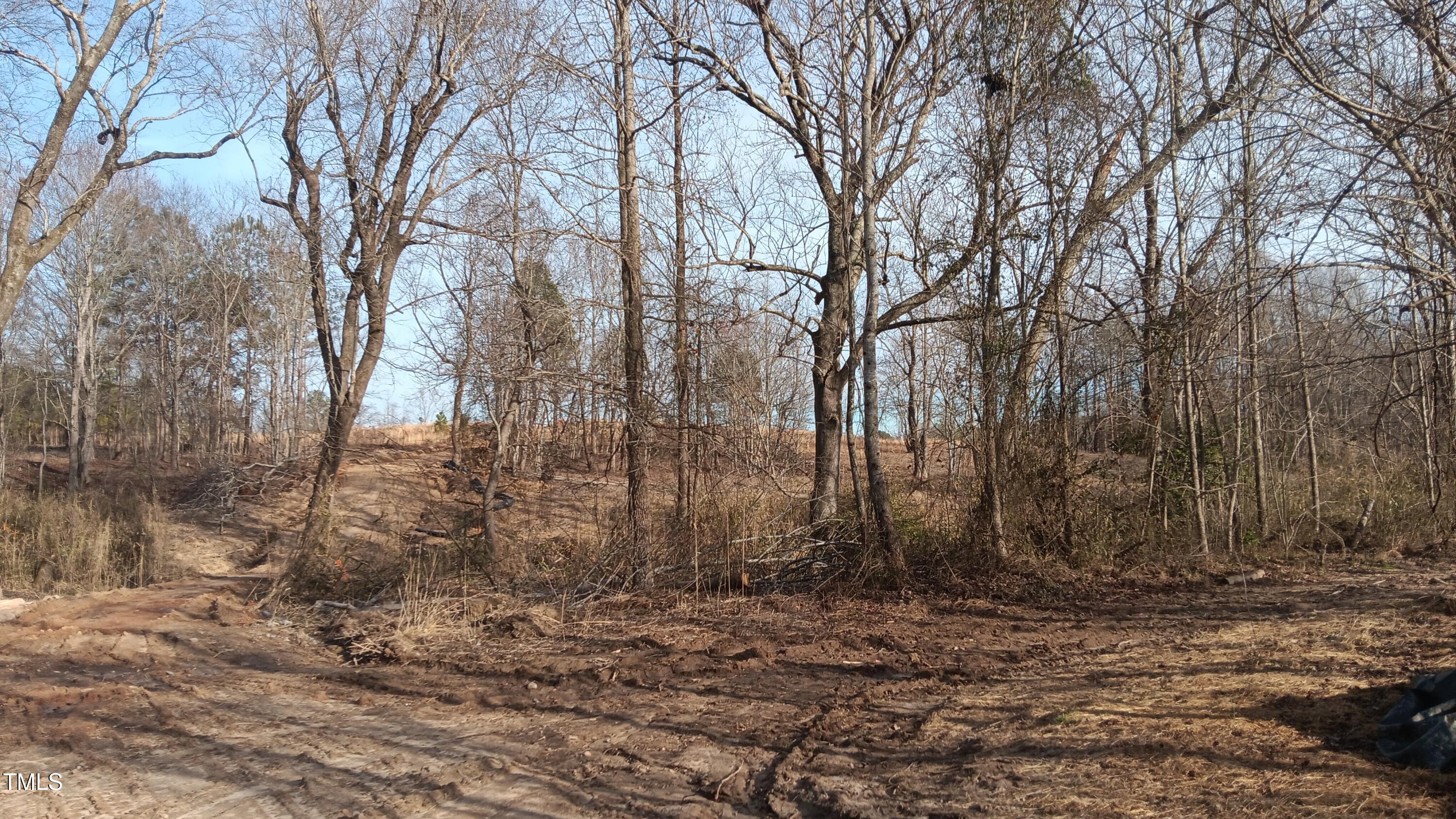 0 Cypress Creek Drive Property Photo 21