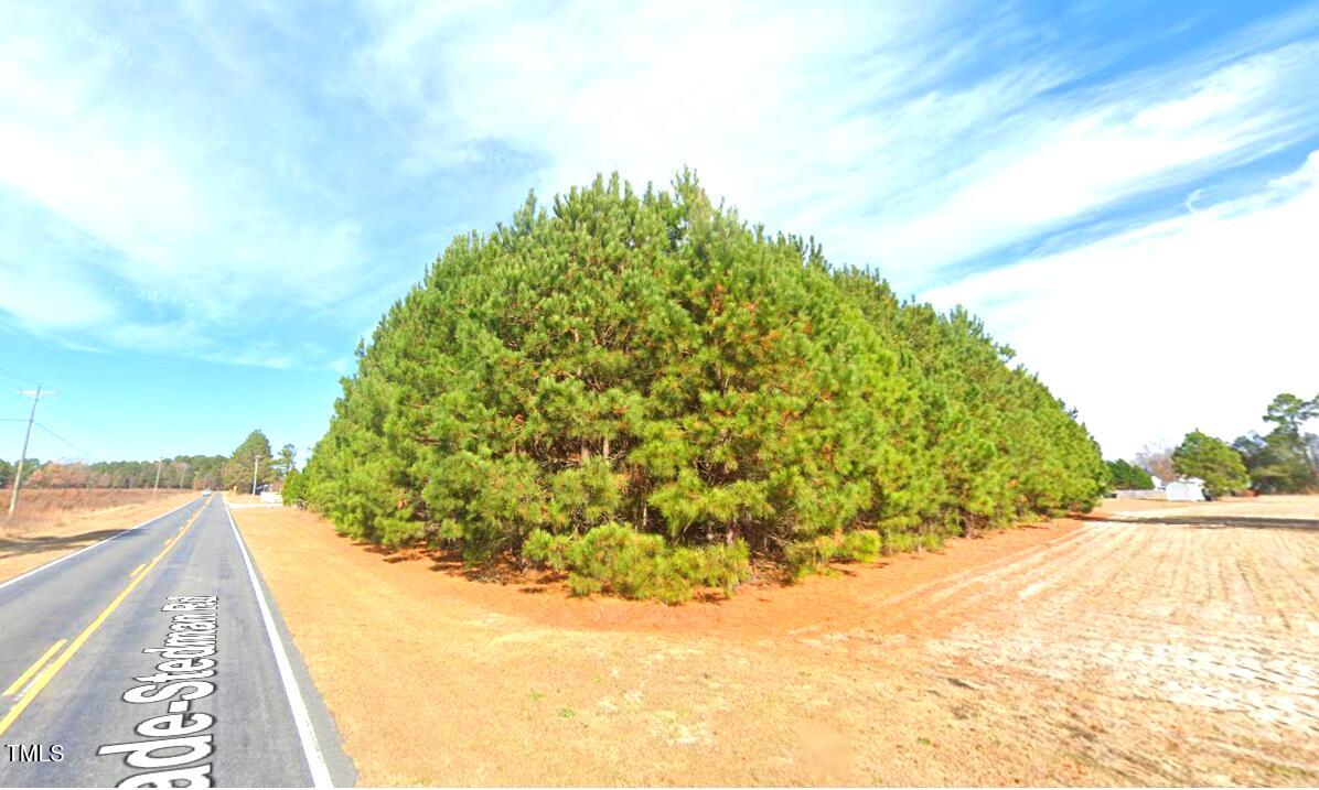 Lot 2 Wade-stedman Road Property Photo