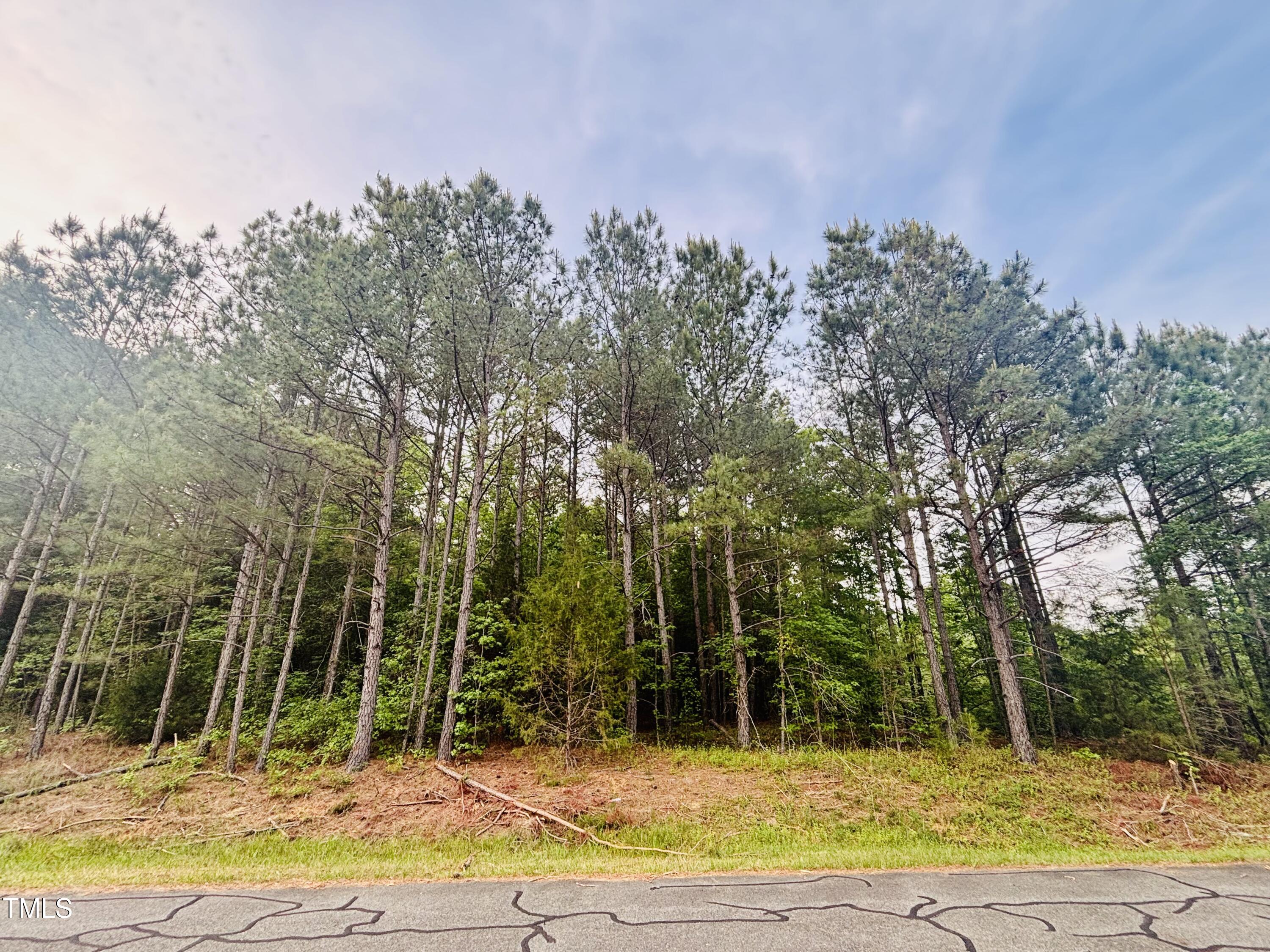 Tbd Alston Horton Service Road Property Photo