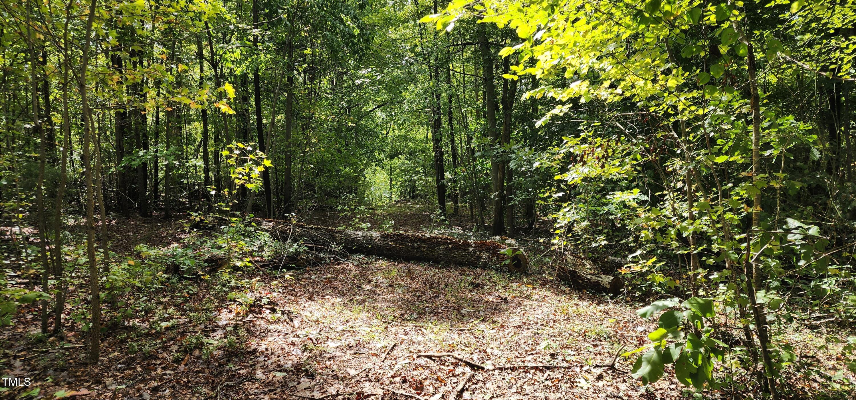Tbd Mill Creek Road Property Photo 2