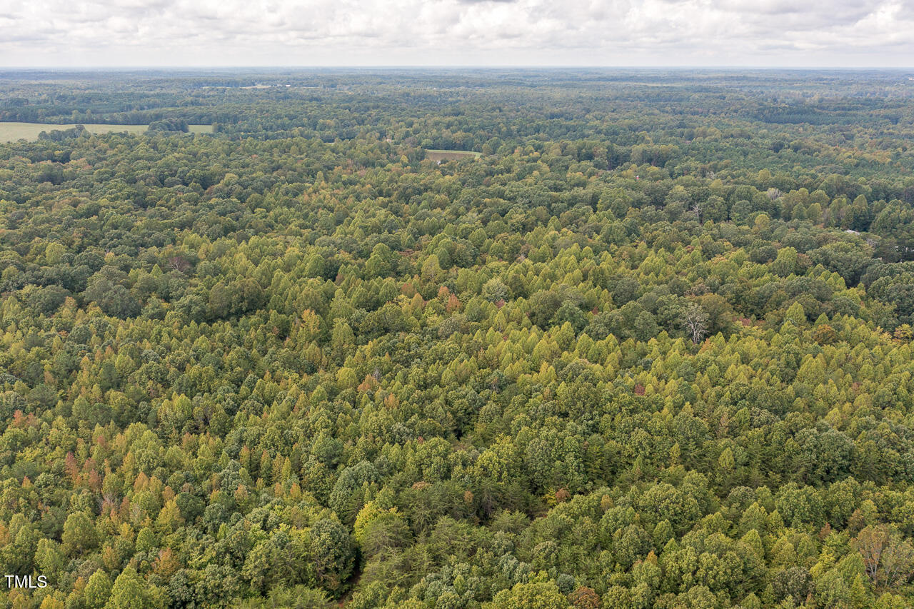 Tbd Mill Creek Road Property Photo 3