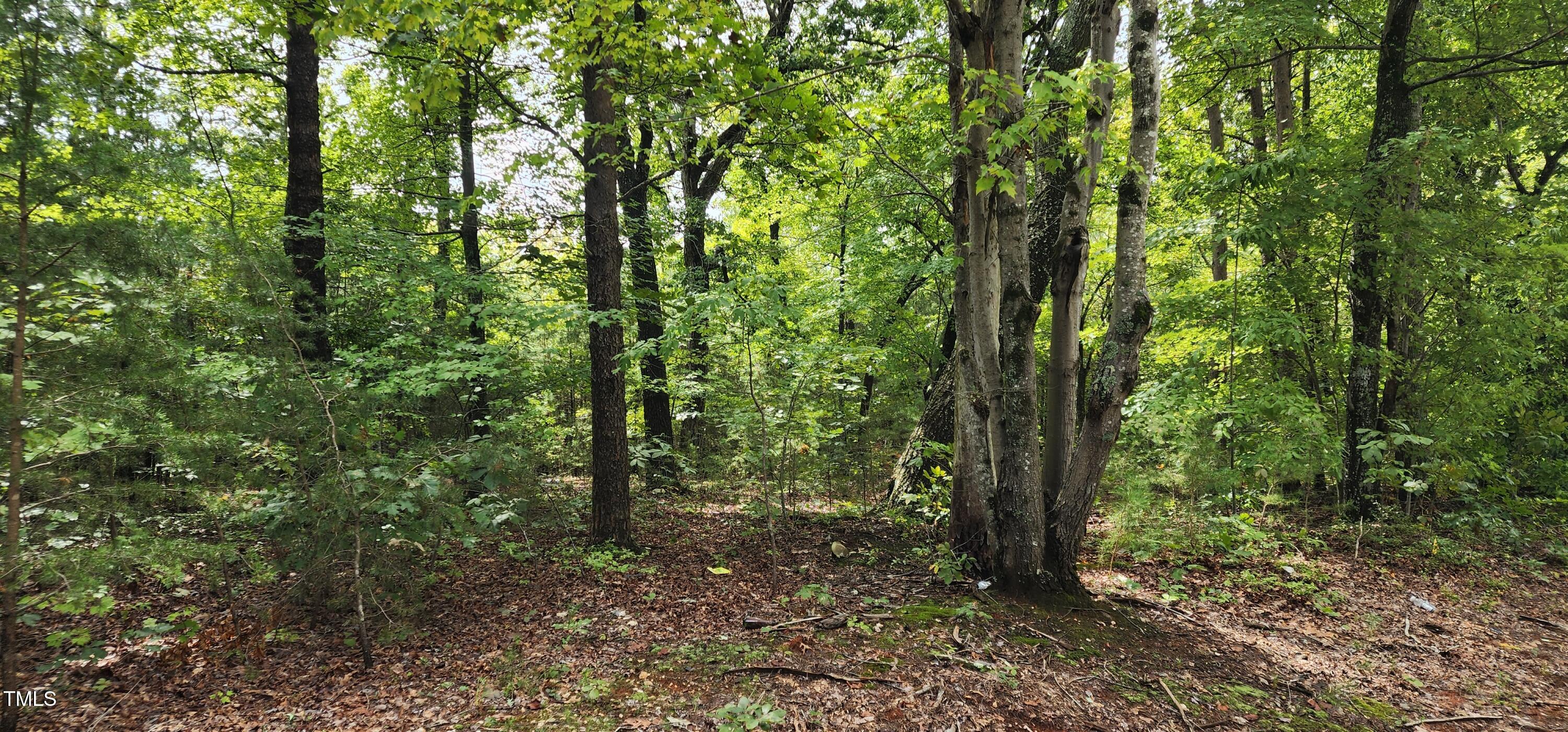 Tbd Mill Creek Road Property Photo 4