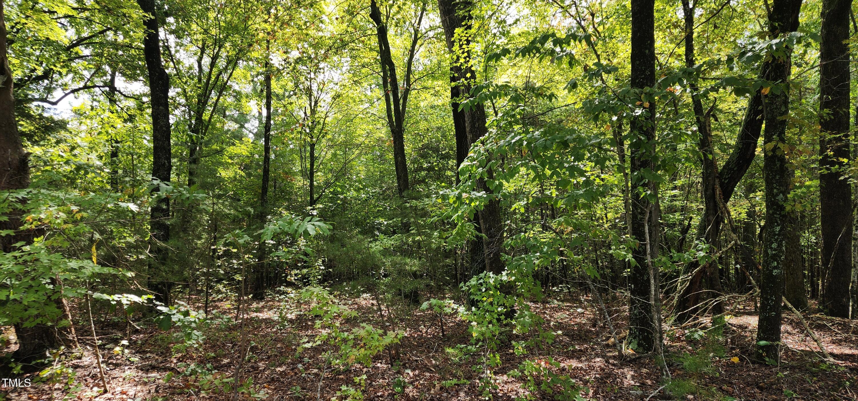 Tbd Mill Creek Road Property Photo 5