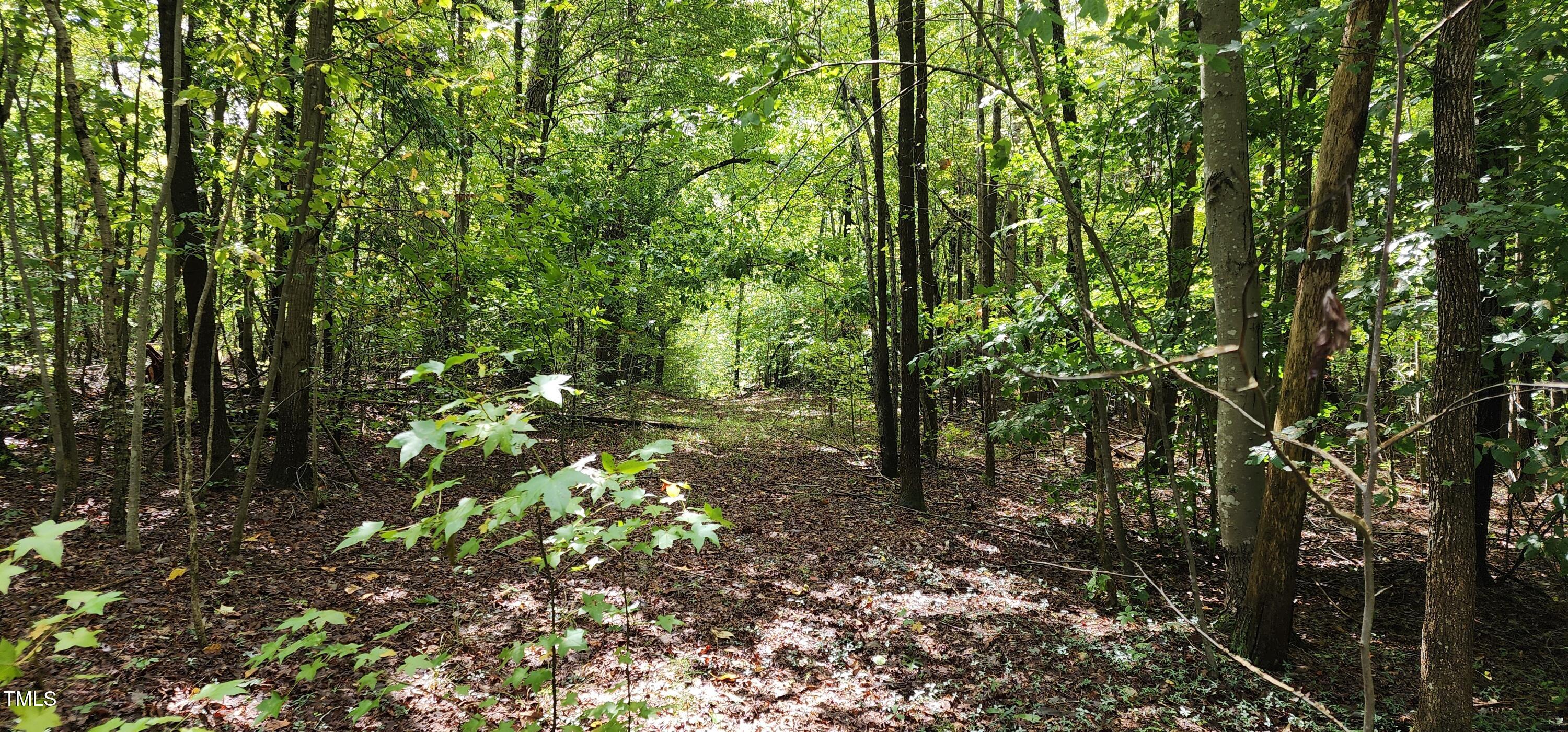 Tbd Mill Creek Road Property Photo 6