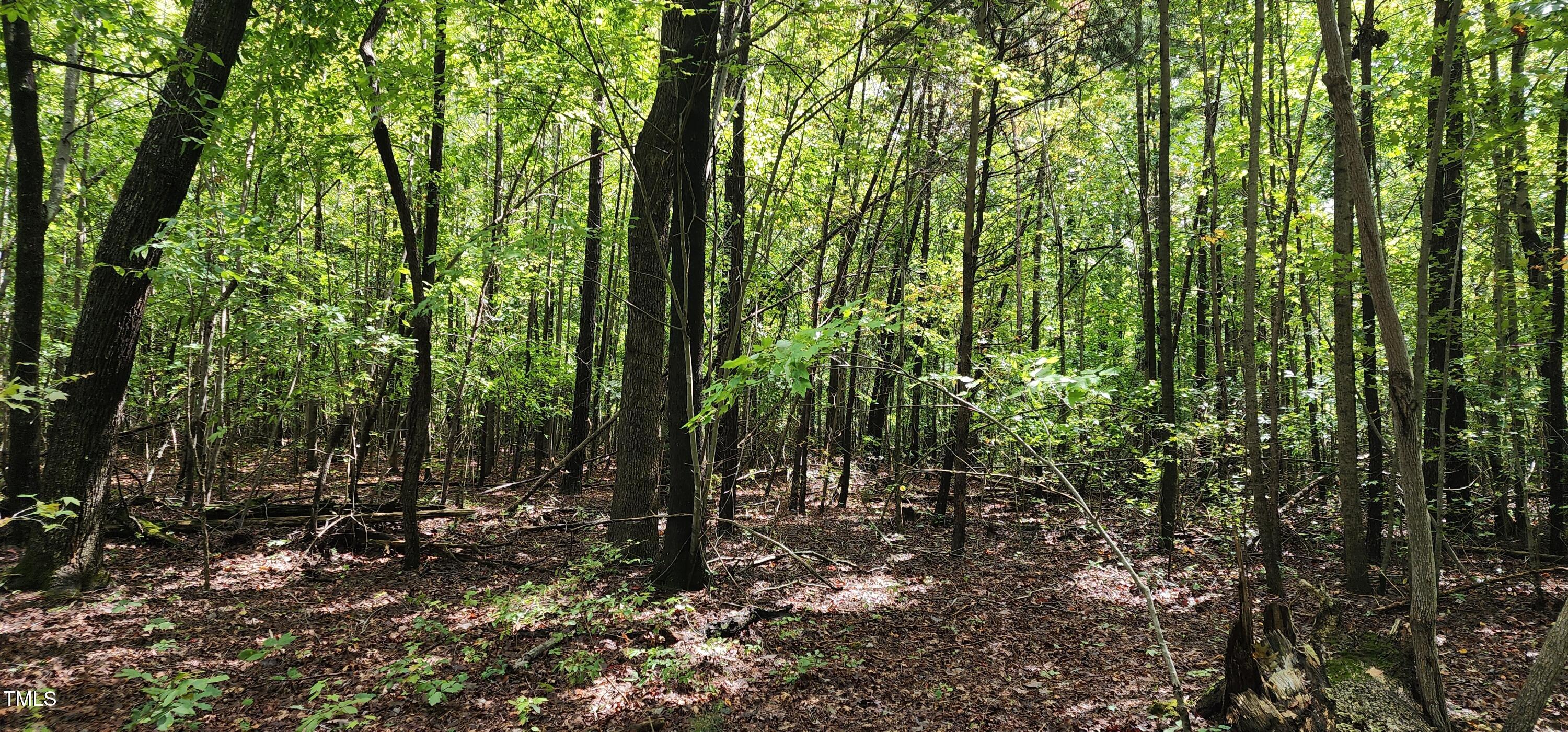 Tbd Mill Creek Road Property Photo 7