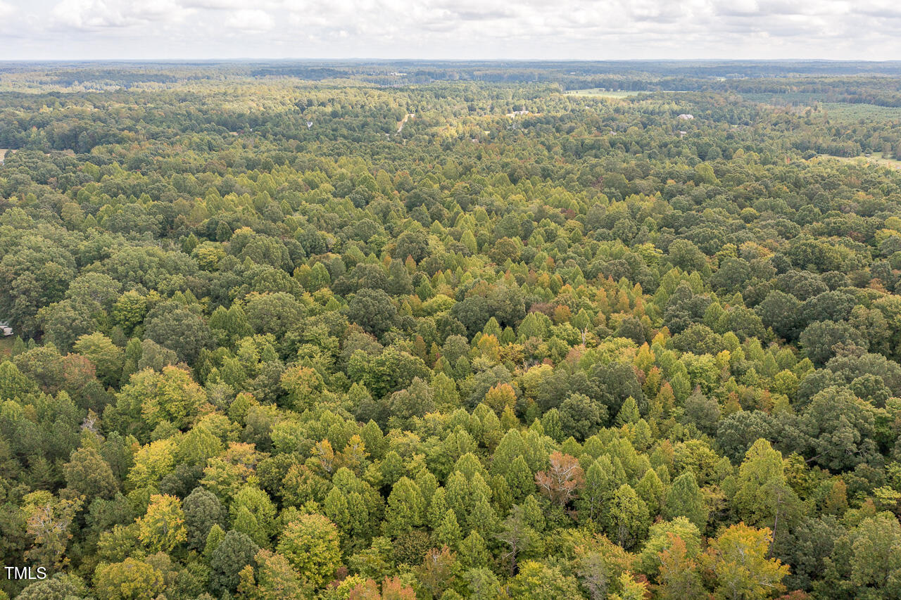 Tbd Mill Creek Road Property Photo 8