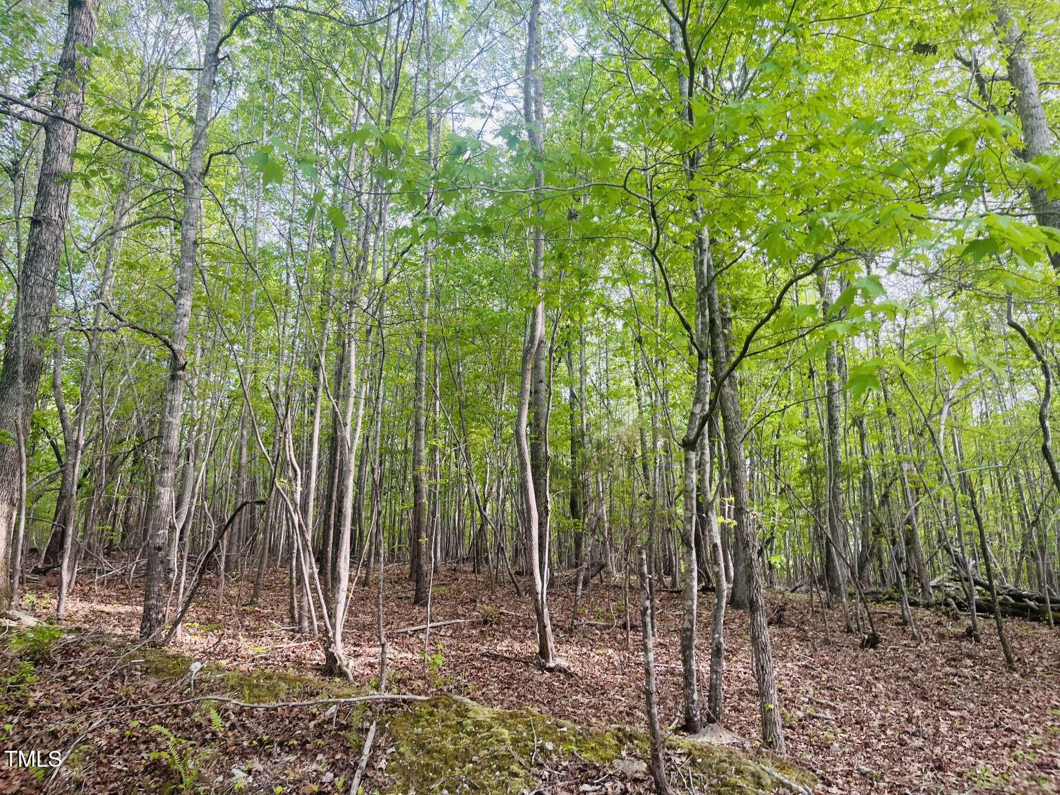 420 Buckhorn Ridge Road Property Photo 2
