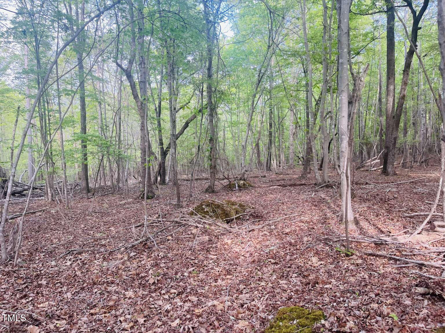 420 Buckhorn Ridge Road Property Photo 3