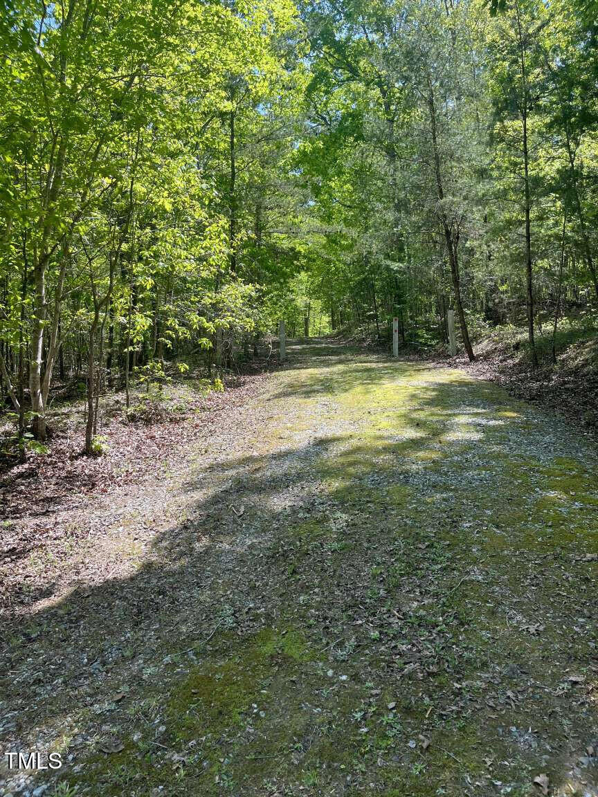 420 Buckhorn Ridge Road Property Photo 7