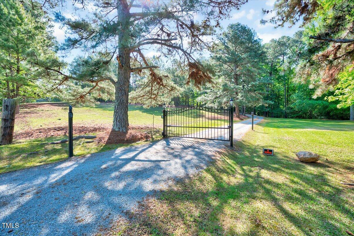 206 Kittys Lane Property Photo 32