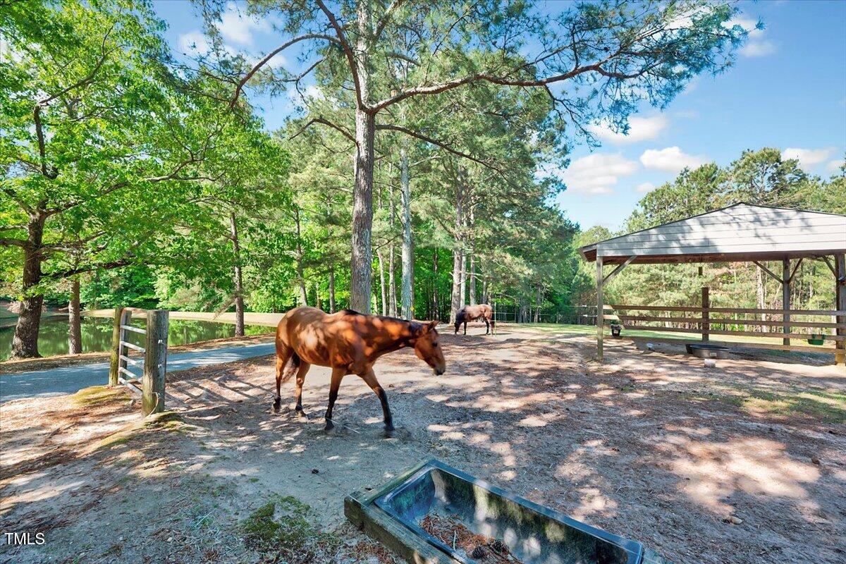 206 Kittys Lane Property Photo 37