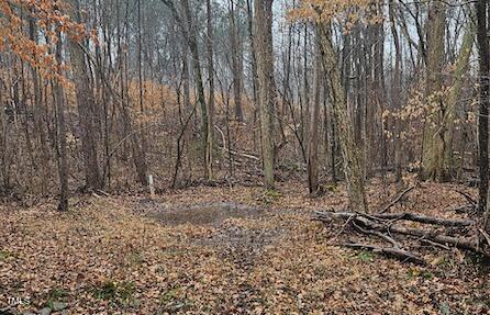 0 Bowers Road Property Photo 1