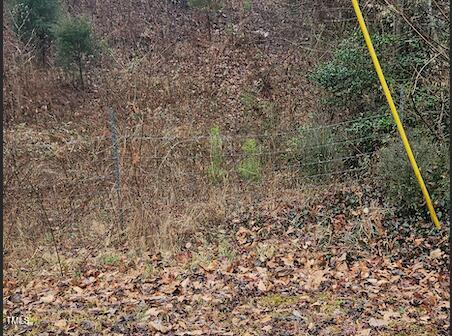 0 Bowers Road Property Photo 2