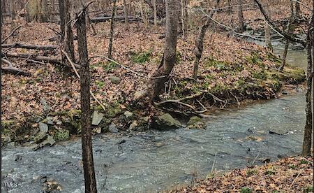 0 Bowers Road Property Photo 3