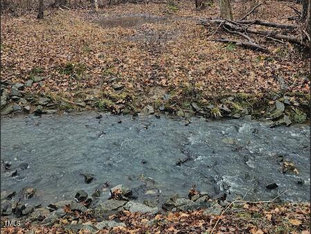 0 Bowers Road Property Photo 4