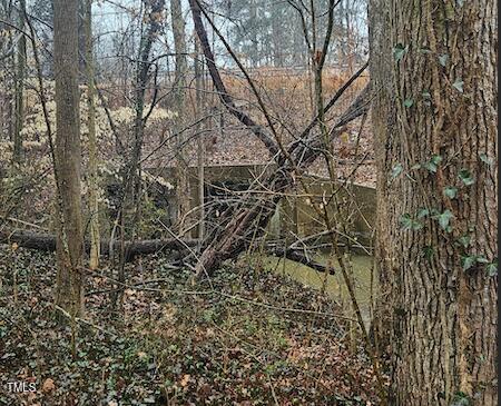 0 Bowers Road Property Photo 5