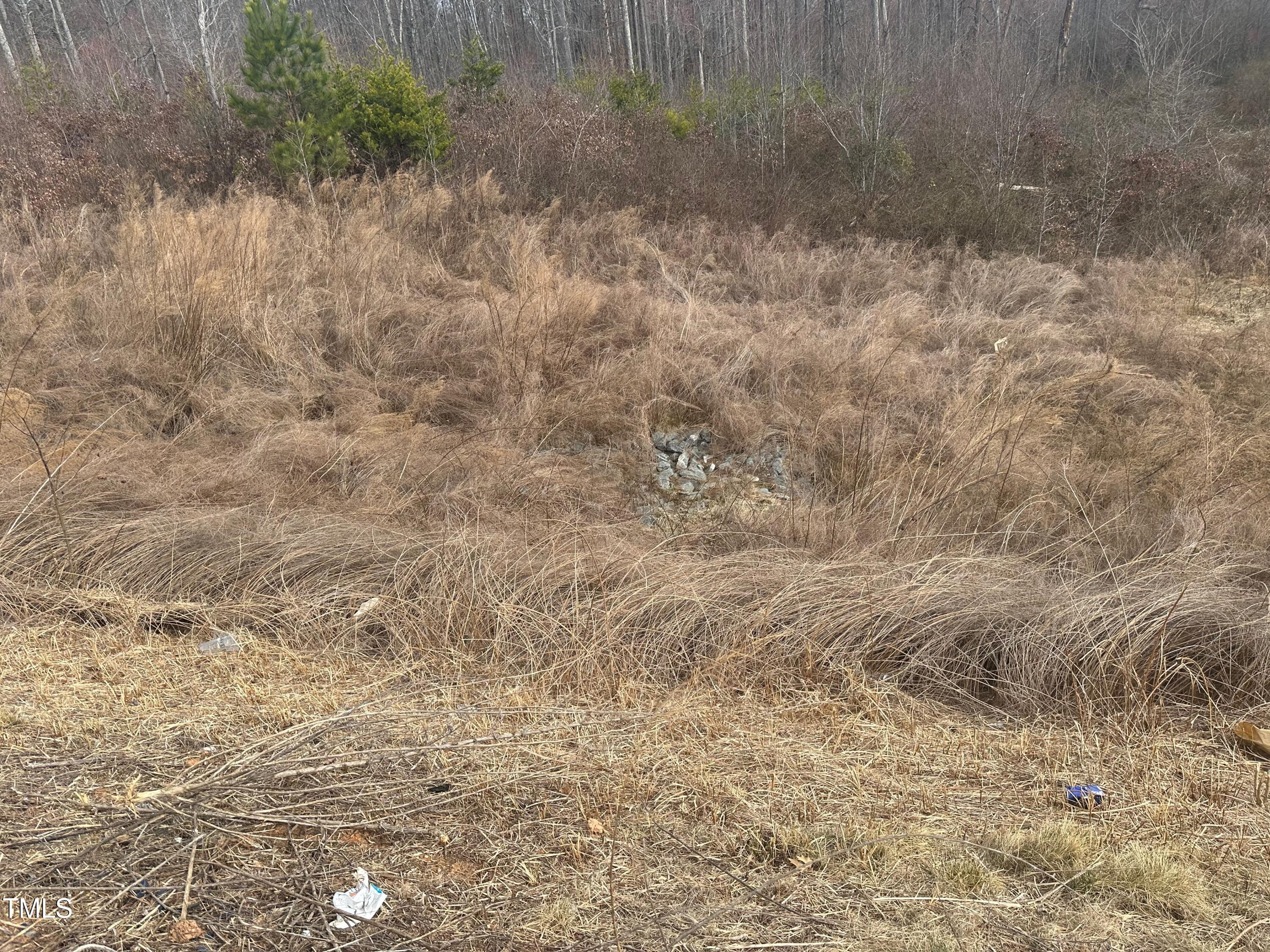 0 Oakdale Drive Property Photo 5