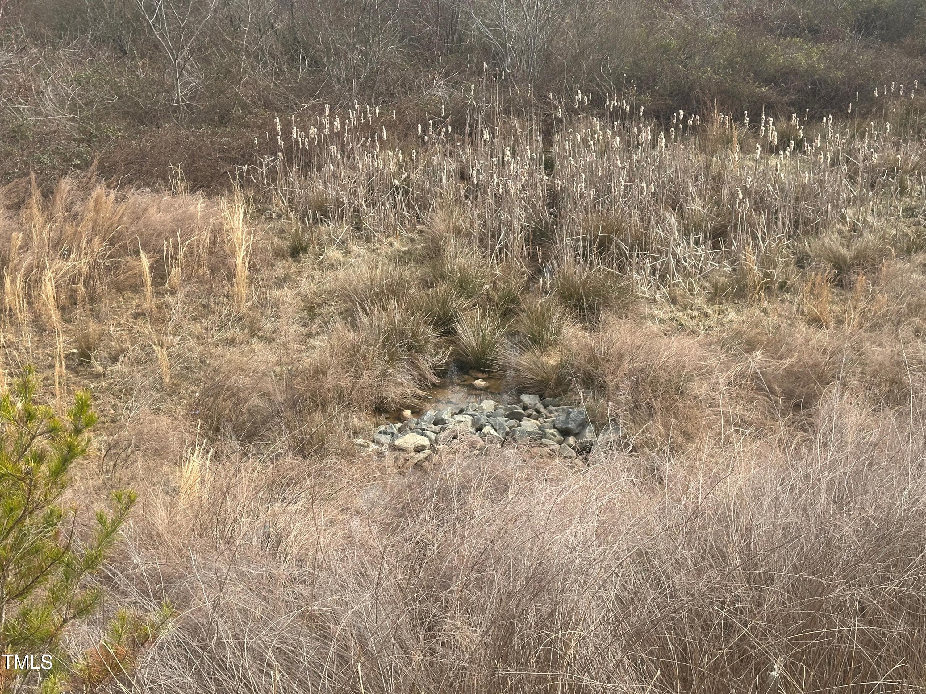 0 Oakdale Drive Property Photo 6