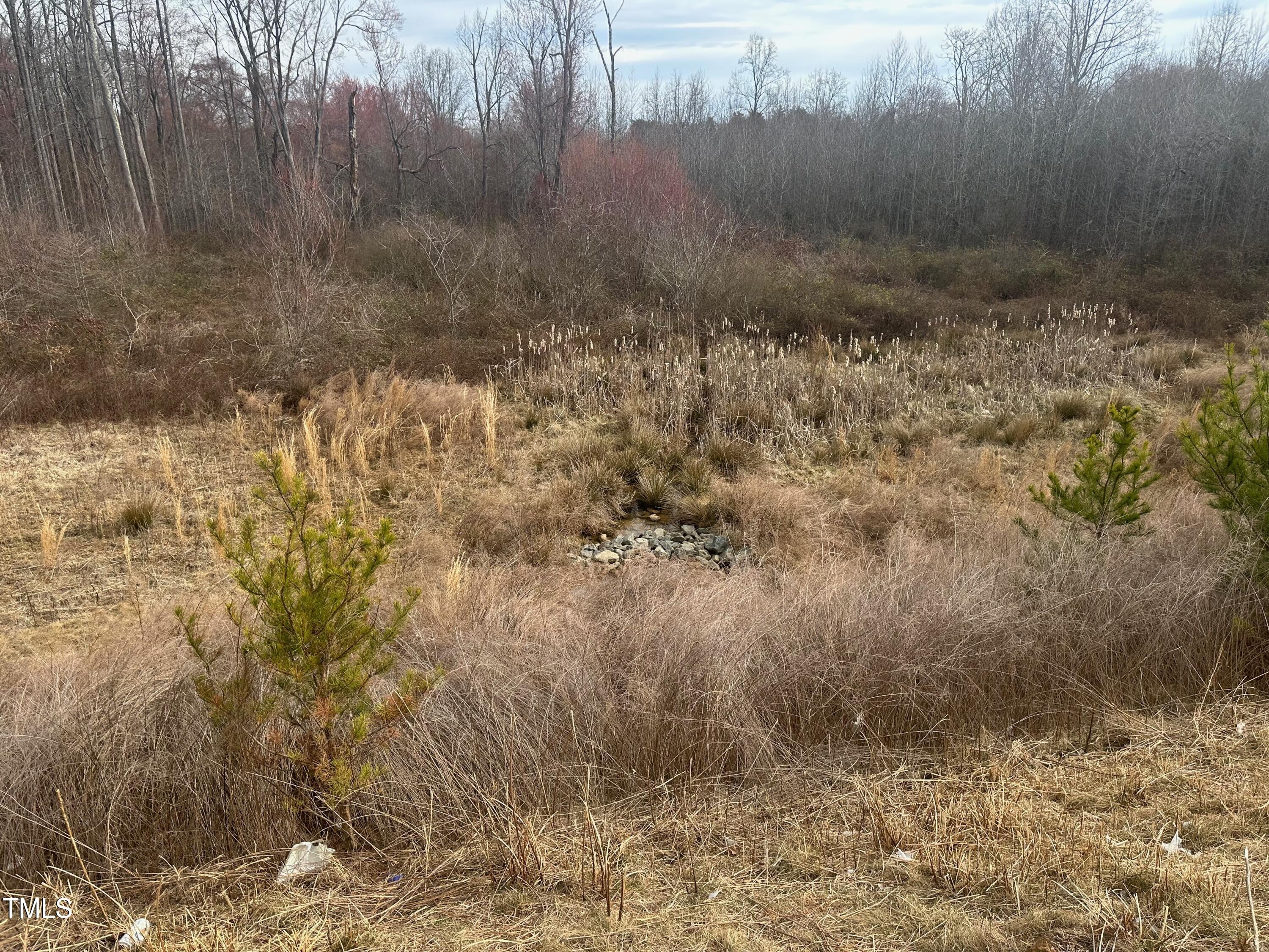 0 Oakdale Drive Property Photo 7