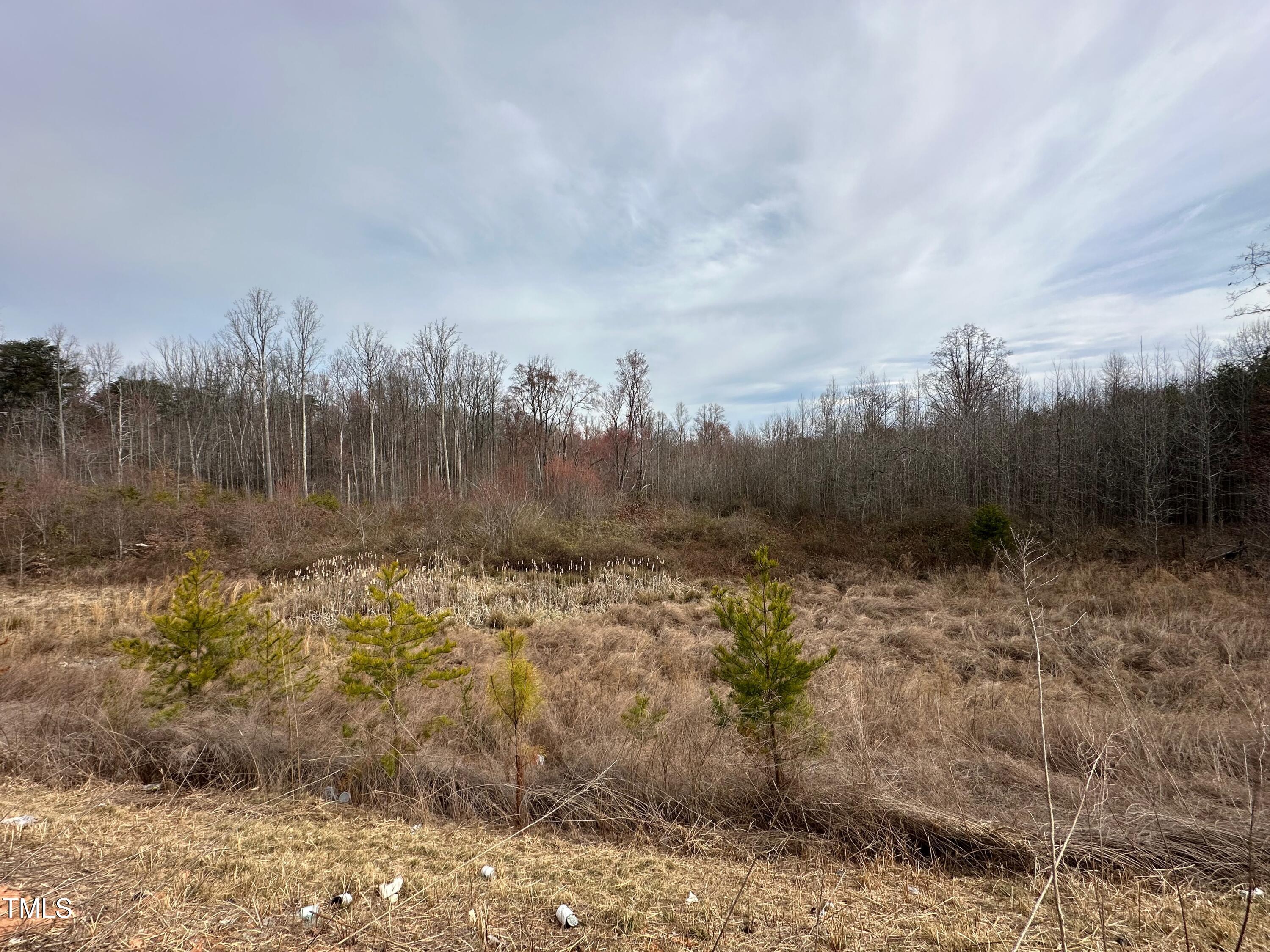 0 Oakdale Drive Property Photo 9