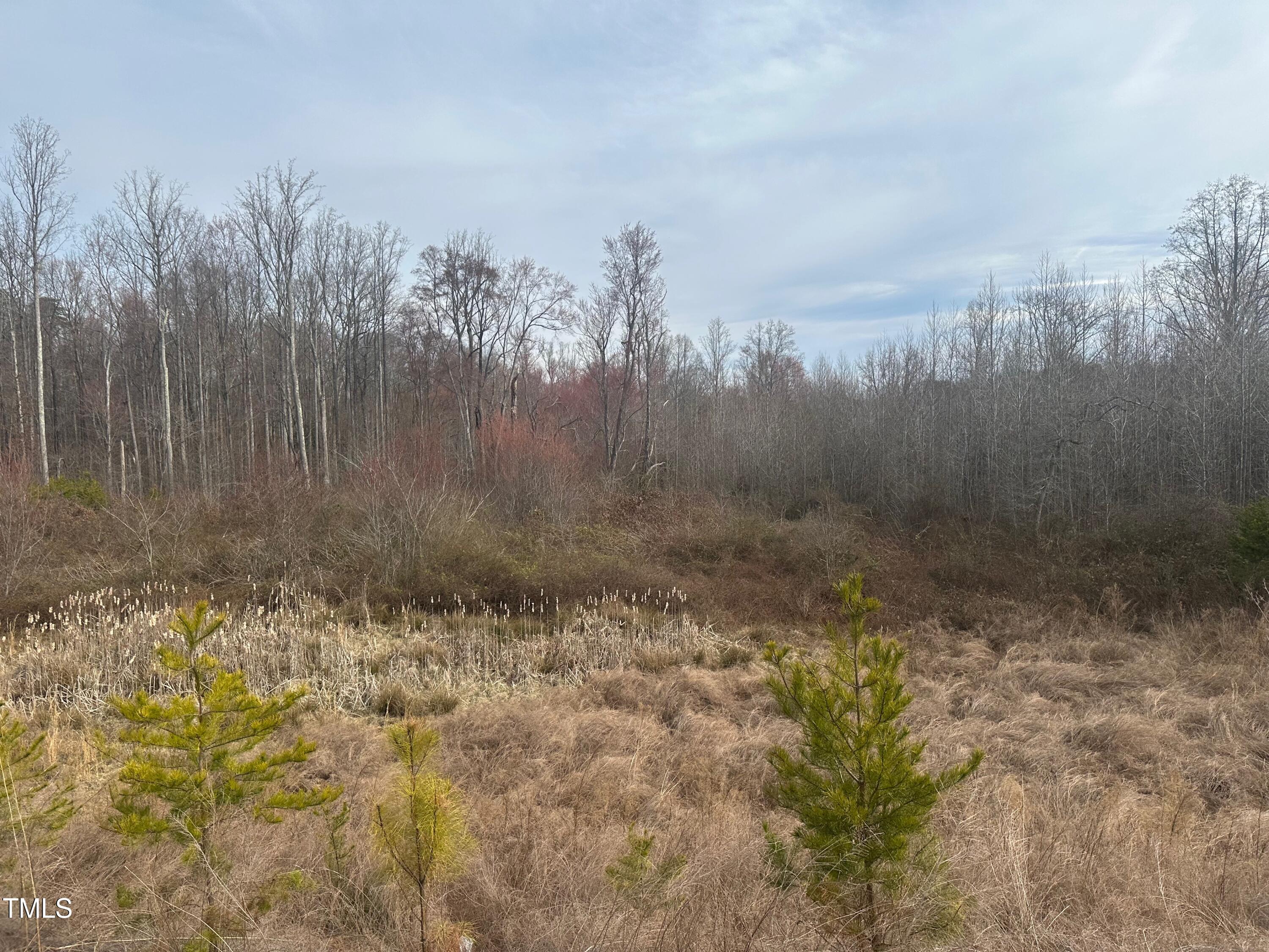 0 Oakdale Drive Property Photo 10