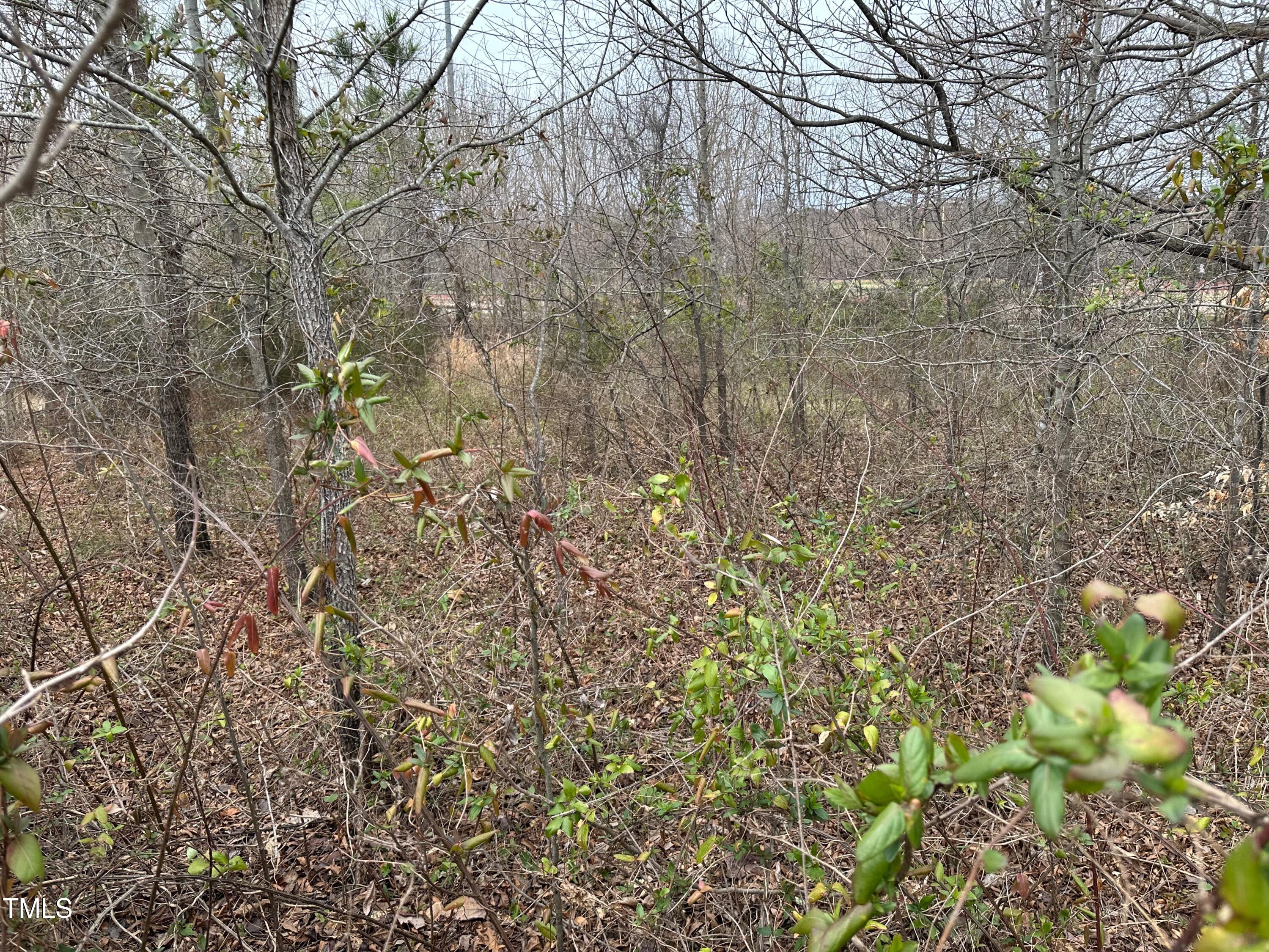 0 Lot 483 S Research Parkway Property Photo 3