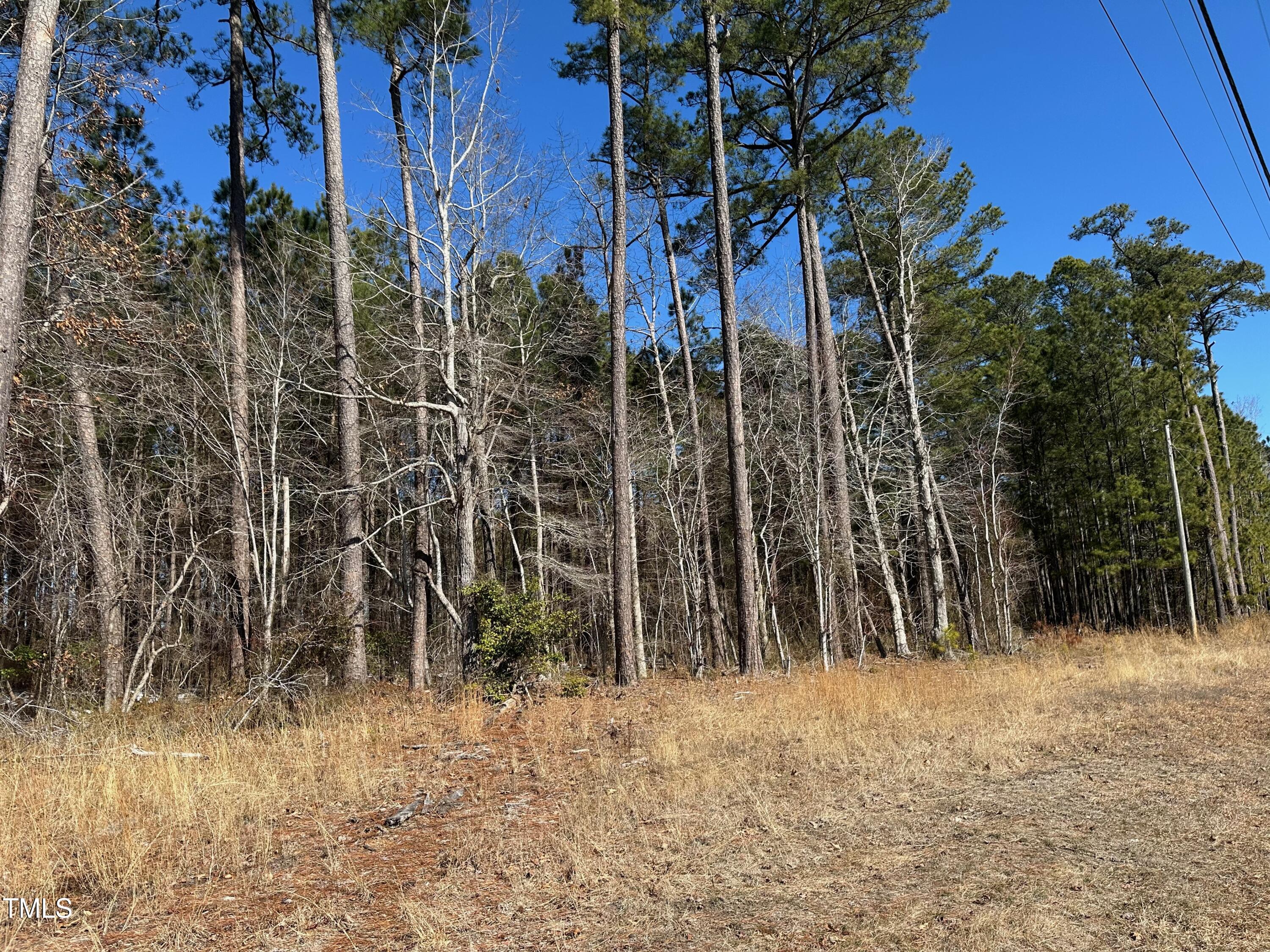 1541 Us-17 Property Photo 1