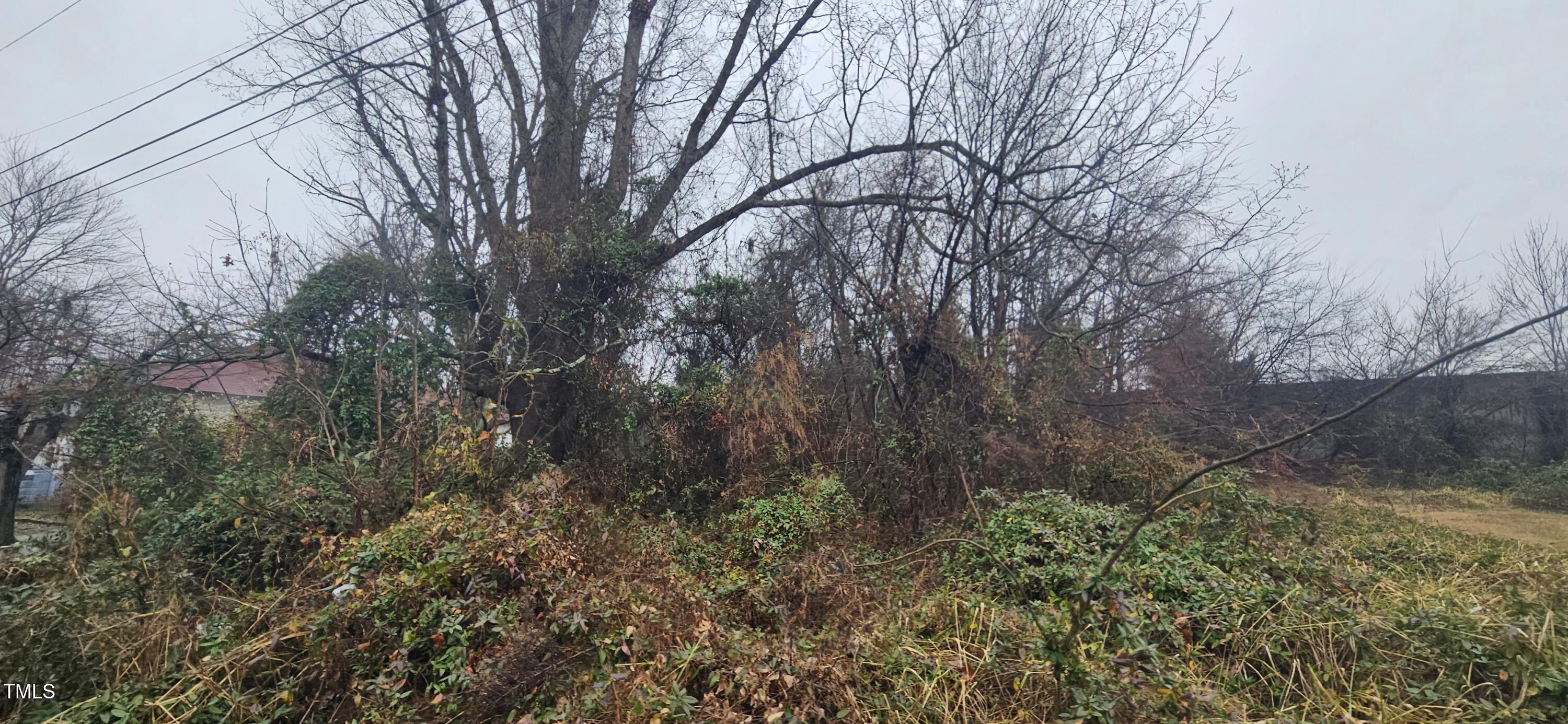 0 Harrel Street Property Photo