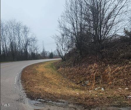 0 Bringle Ferry Road Property Photo 2