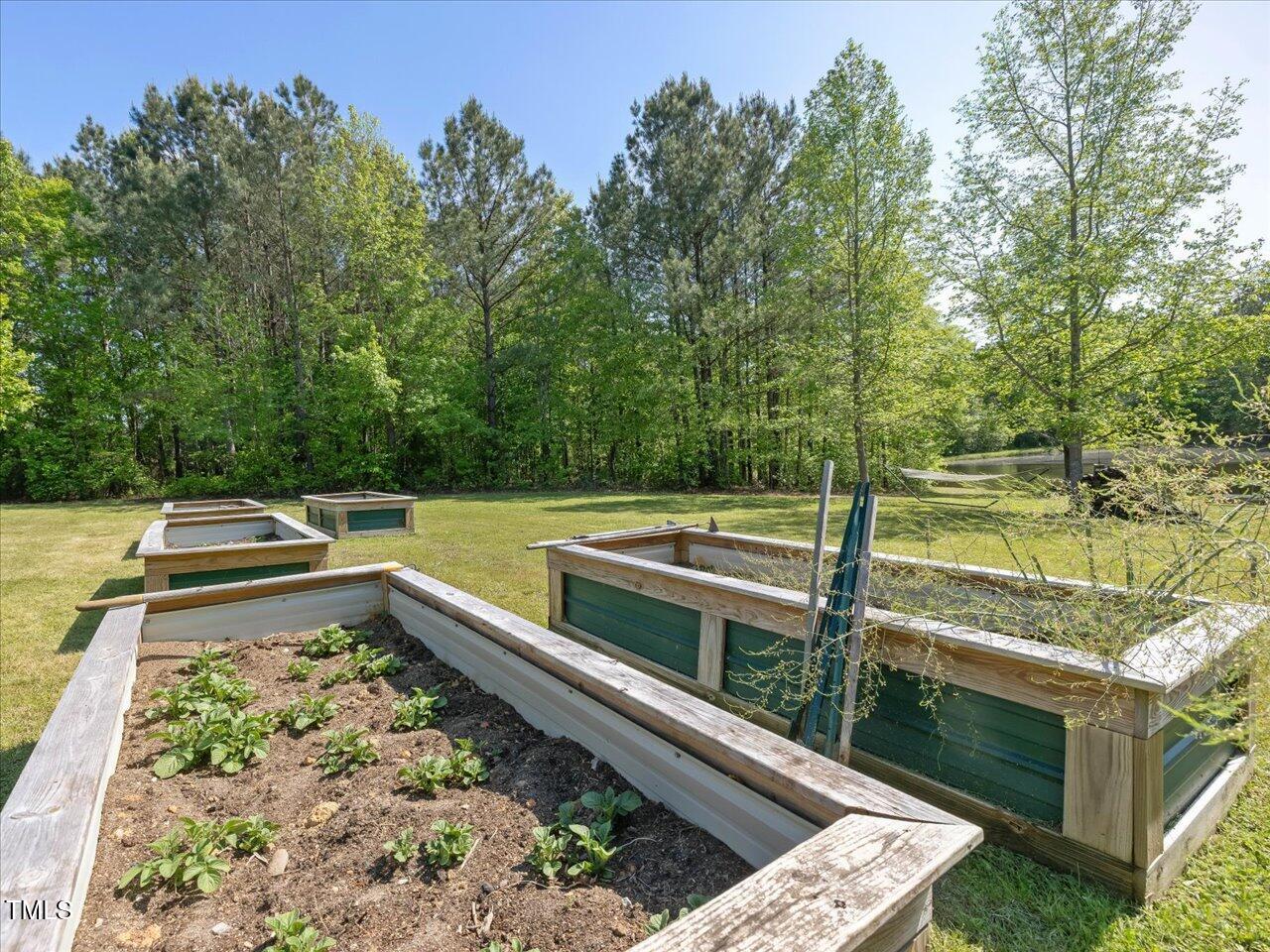 1656 Nc-42 Highway Property Photo 30