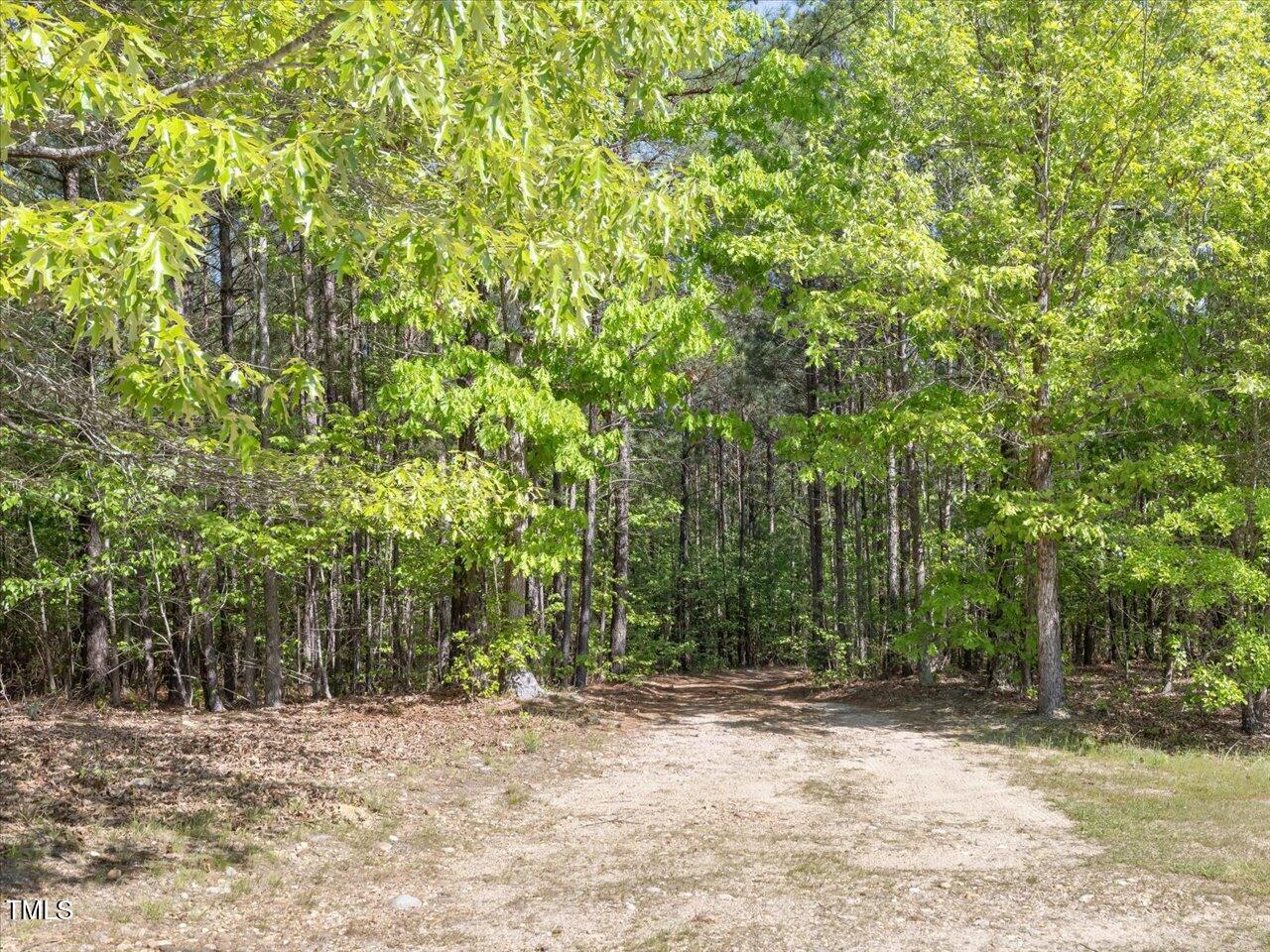 1656 Nc-42 Highway Property Photo 36
