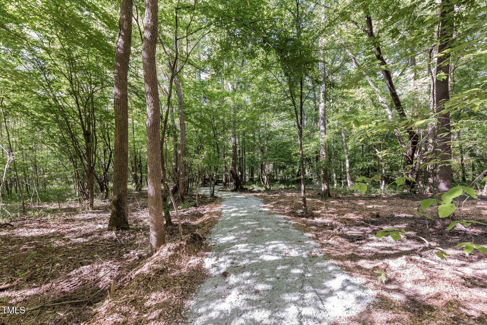 Lot 3 Helena Moriah Road Property Photo 5