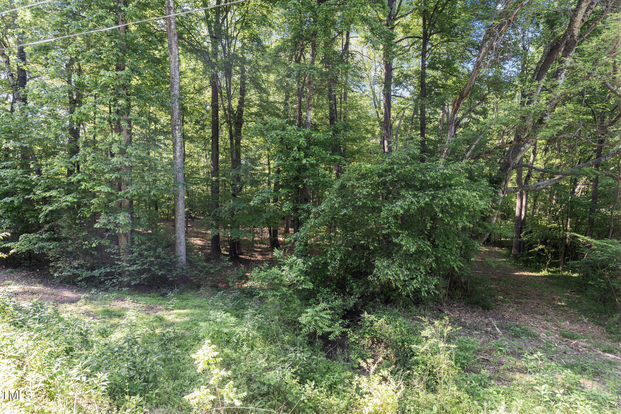 Lot 3 Helena Moriah Road Property Photo 6