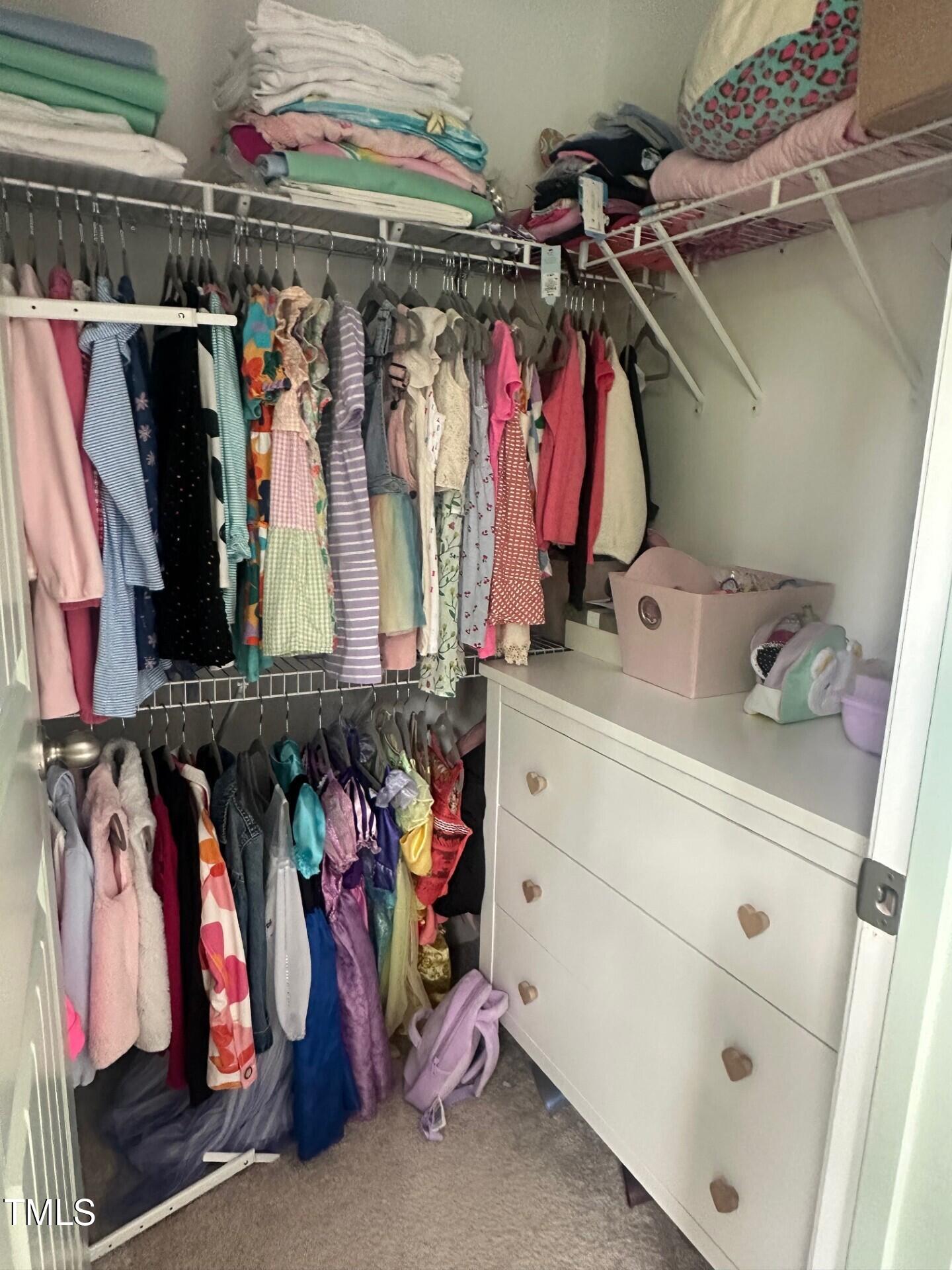 1009 Travern Drive Property Photo 46