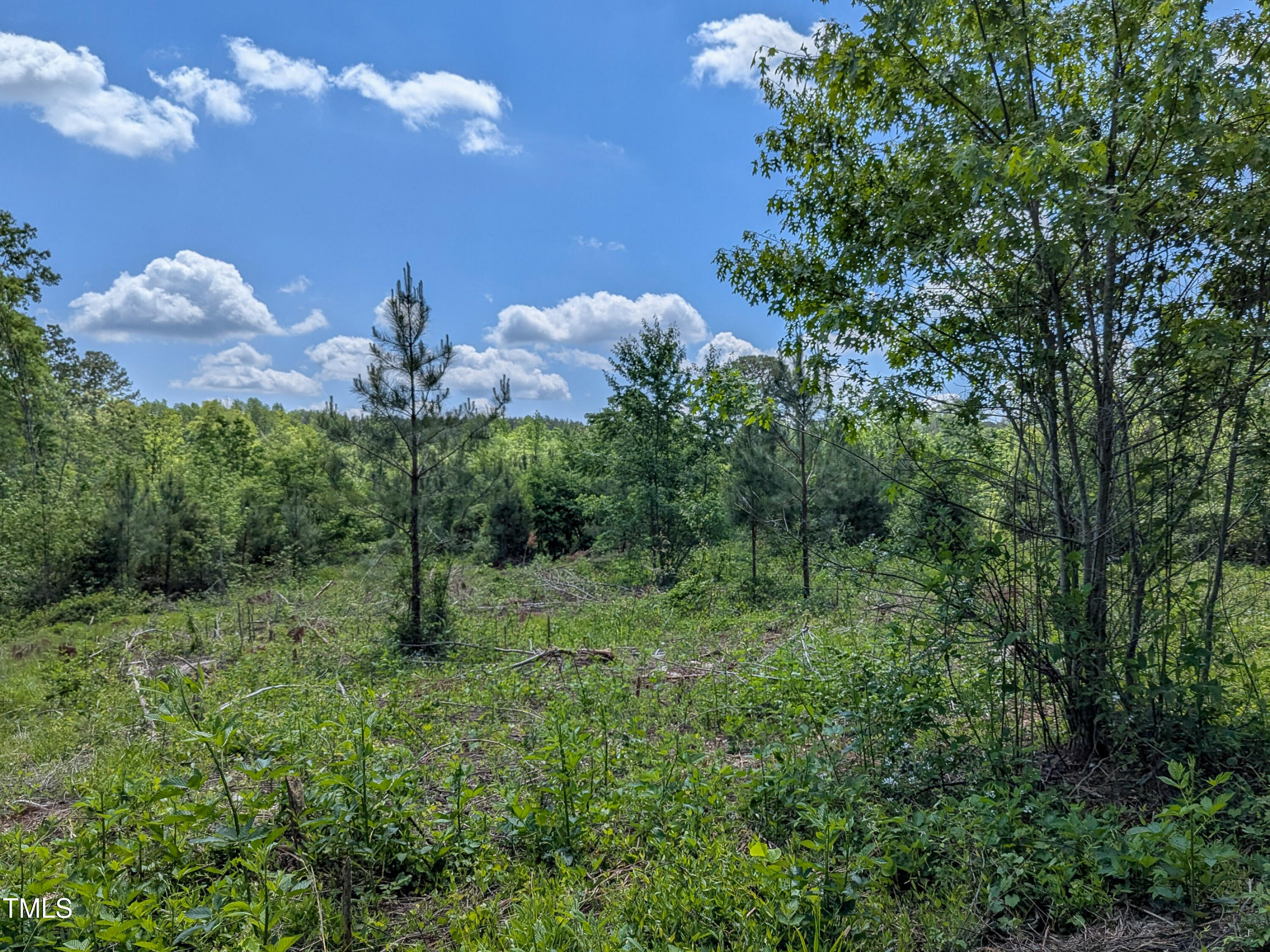 0 Cypress Creek Drive Property Photo 1