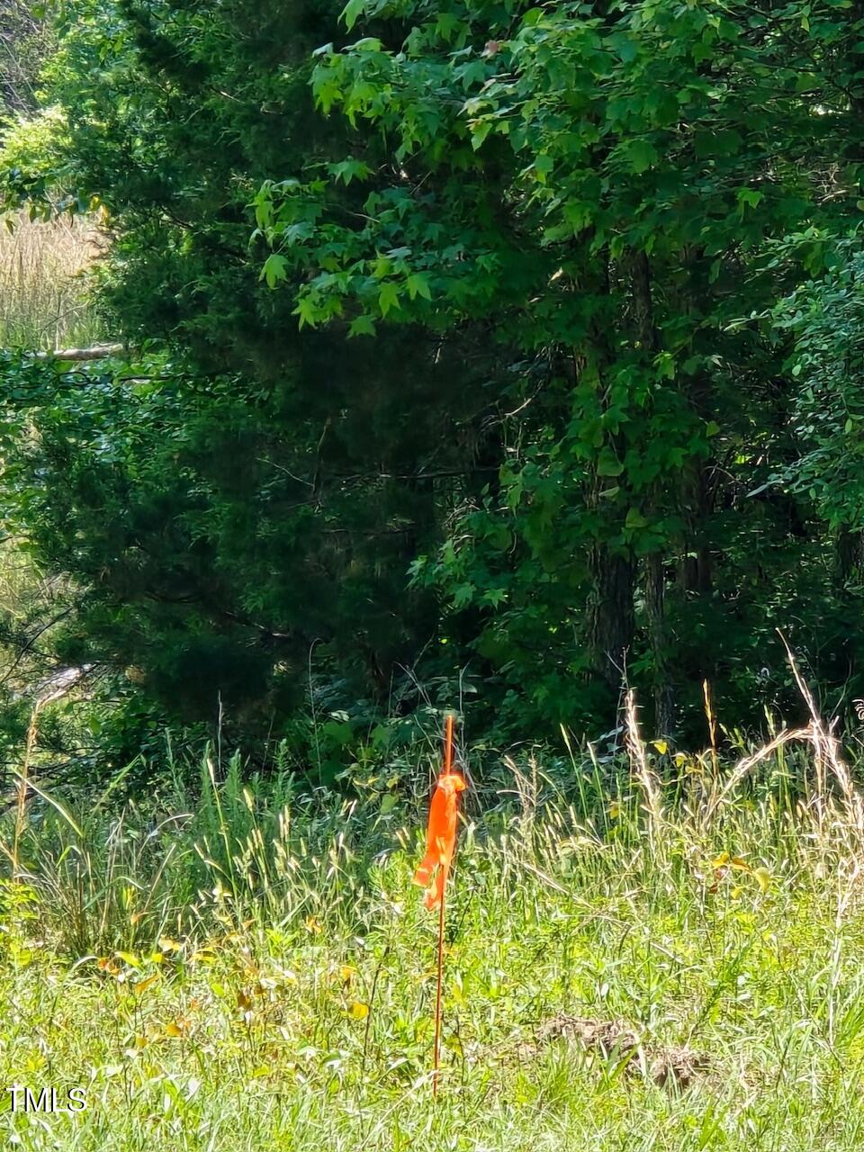 312 Beaver Dam Road Property Photo 2