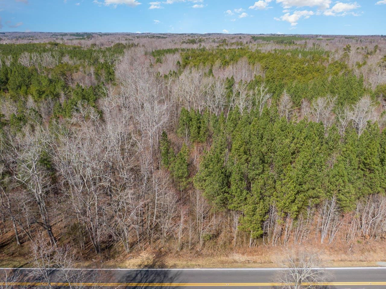 7284 State Hwy 49 Property Photo 11