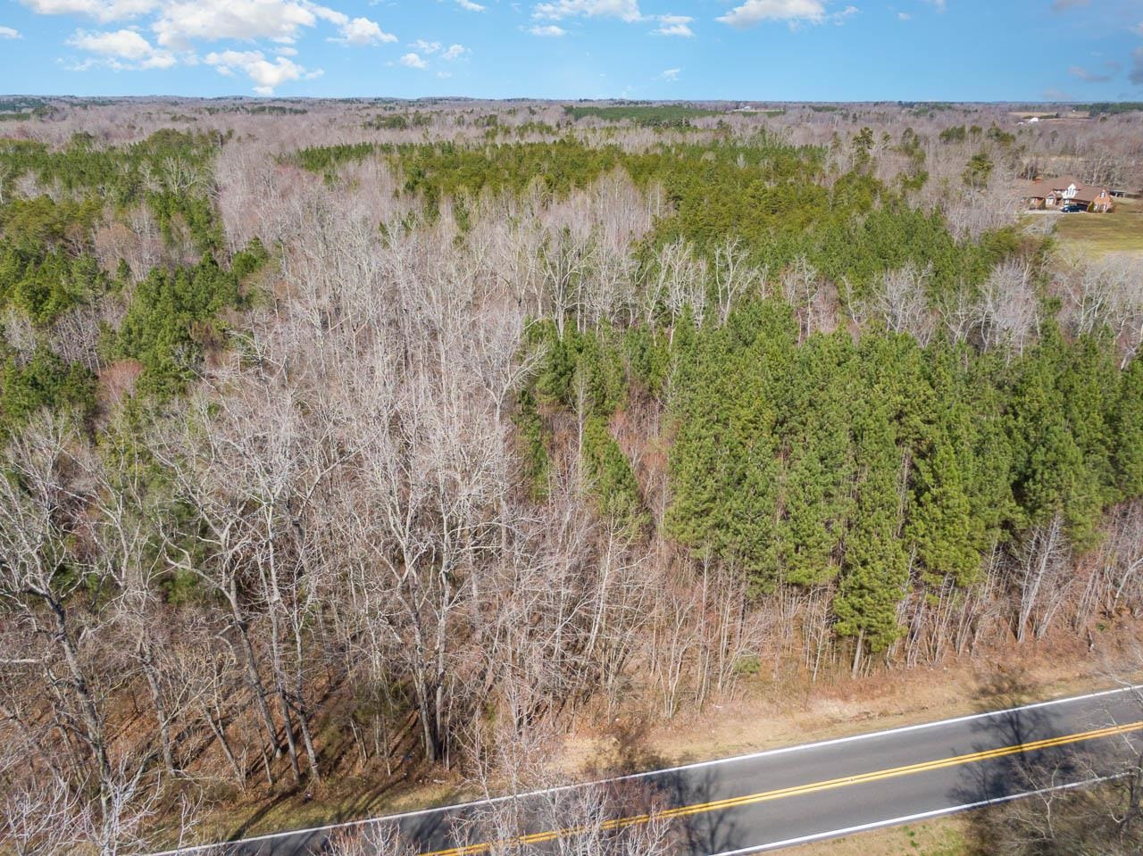 7284 State Hwy 49 Property Photo 12