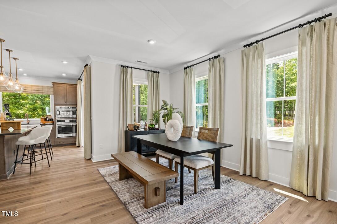 4611 Mint Leaf Lane Property Photo 4