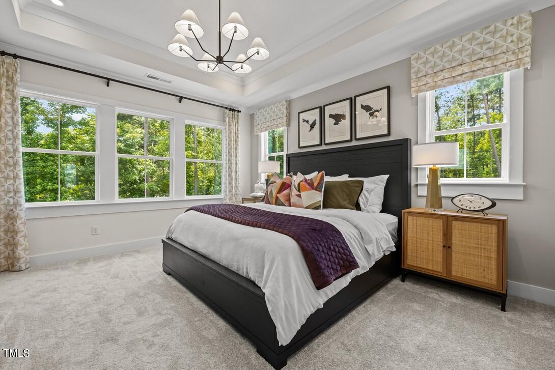 4611 Mint Leaf Lane Property Photo 27