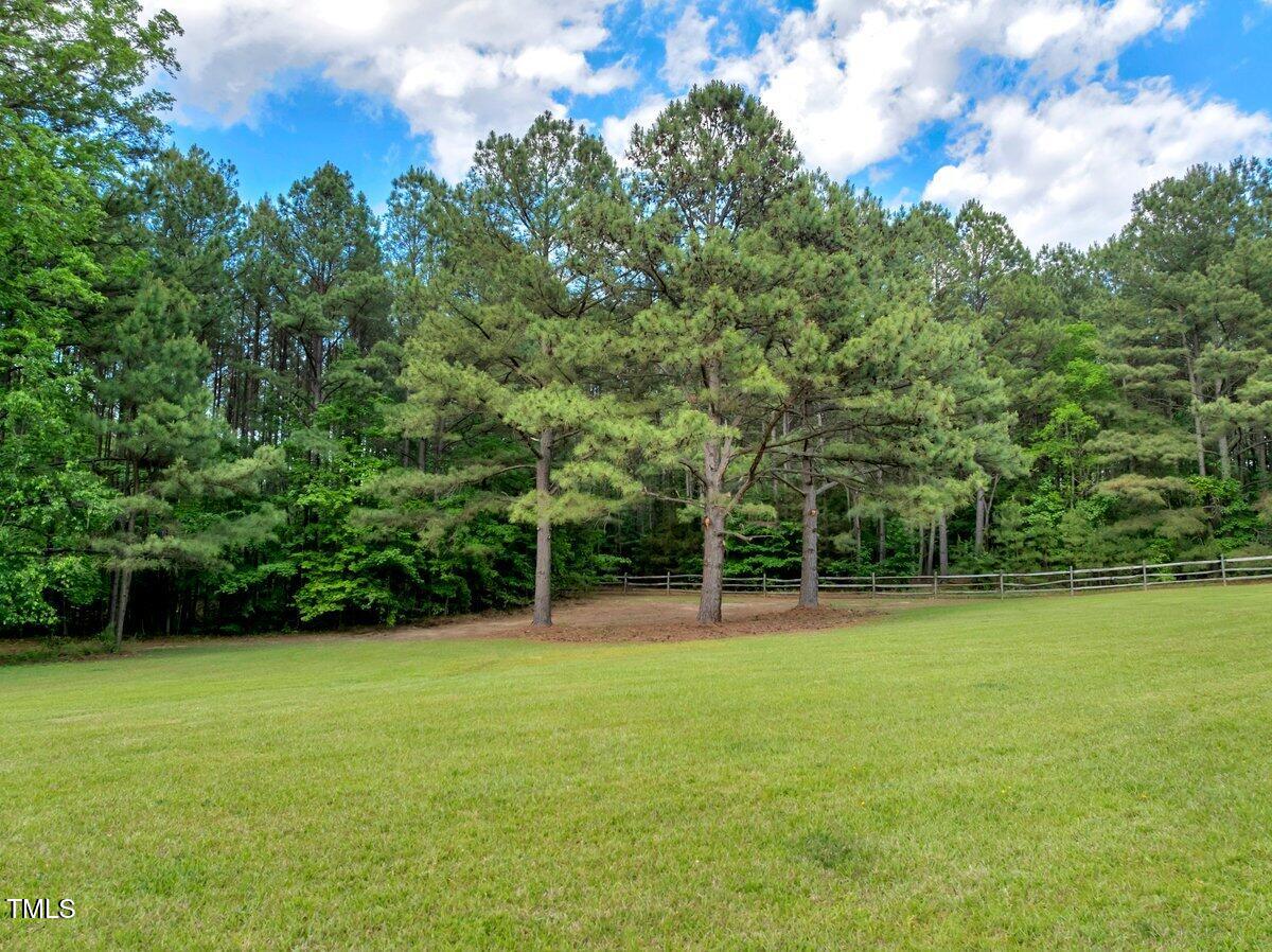 1.95 Acres Buchanan Road Property Photo 8