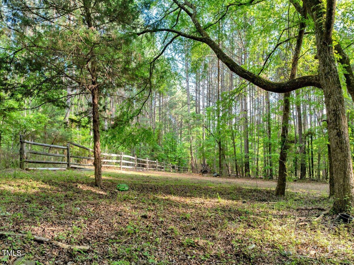 1.95 Acres Buchanan Road Property Photo 10