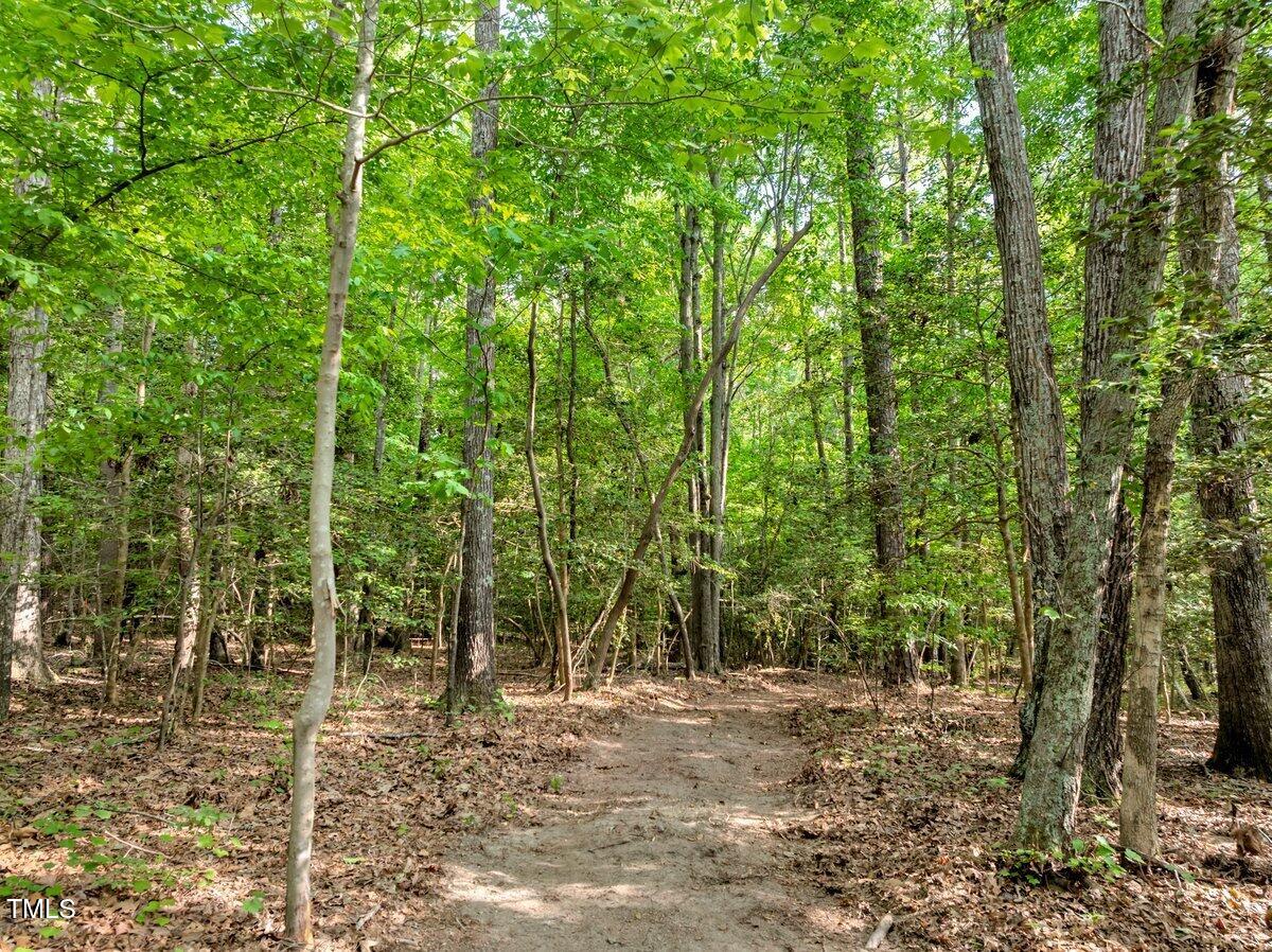 1.95 Acres Buchanan Road Property Photo 12