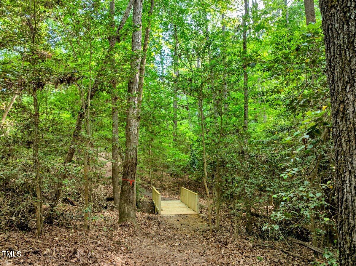 1.95 Acres Buchanan Road Property Photo 13