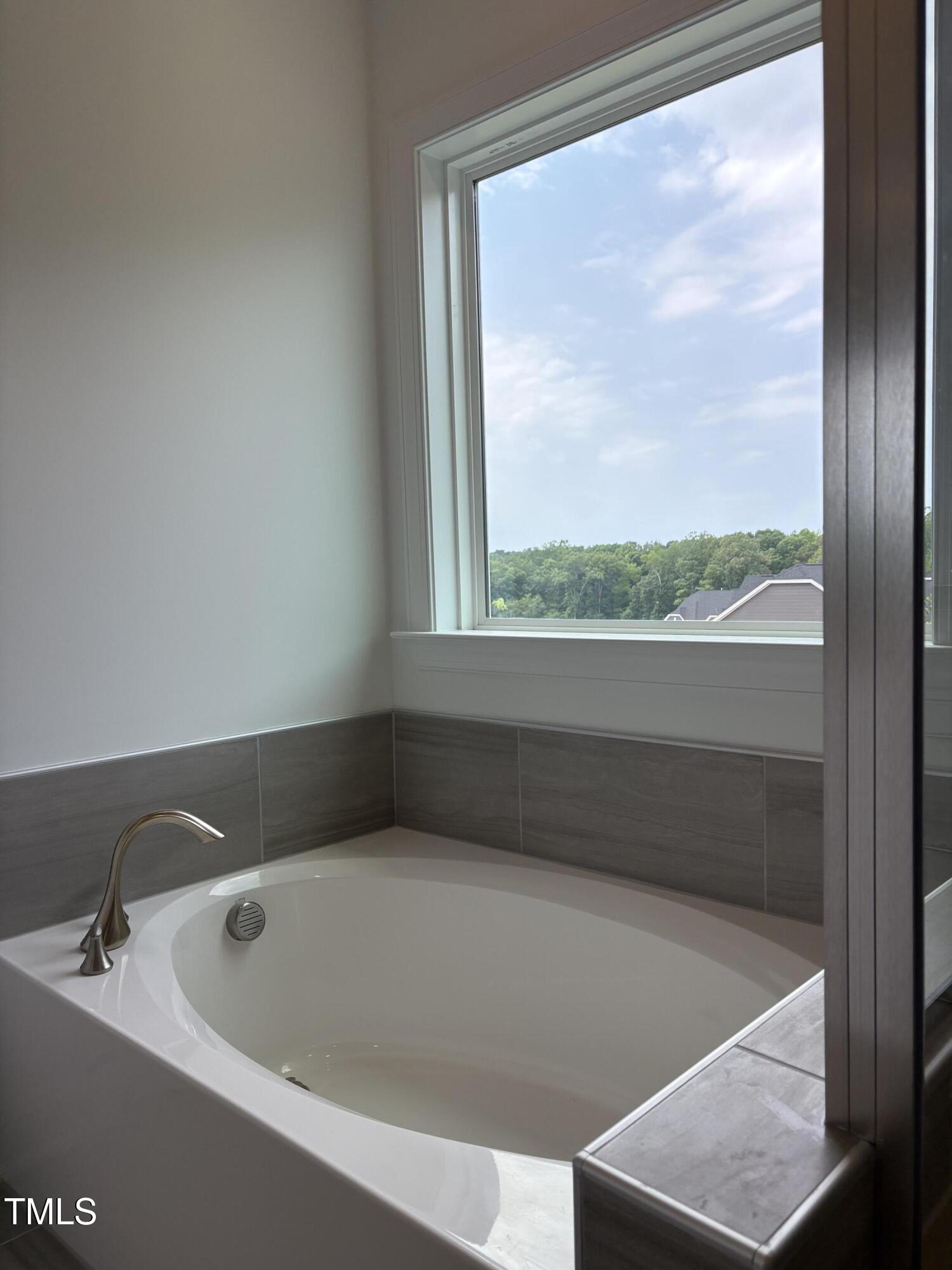 1540 Goldfinch Perch Lane, Lane Property Photo 24