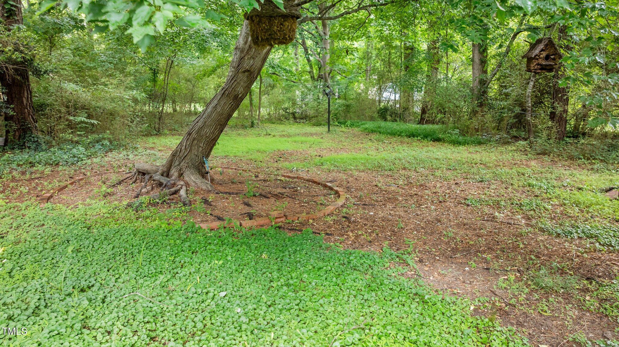 3803 Jonesville Road Property Photo 27