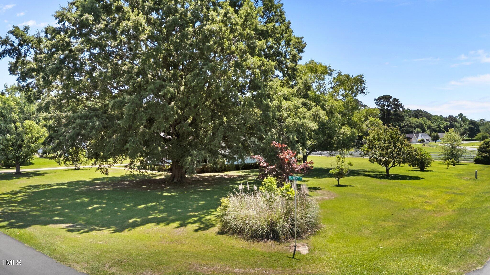 200 Mint Court Property Photo 31