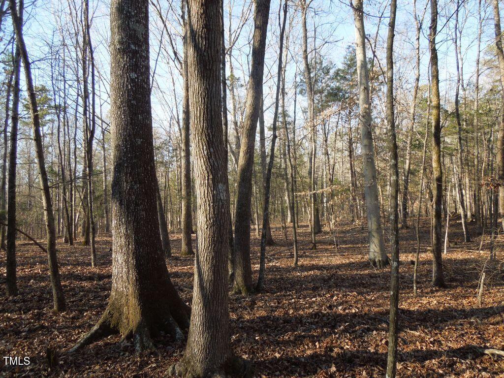 0 Noel Tuck Road Property Photo 1