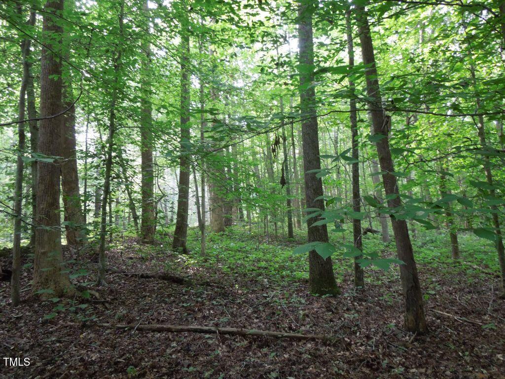 0 Noel Tuck Road Property Photo 2